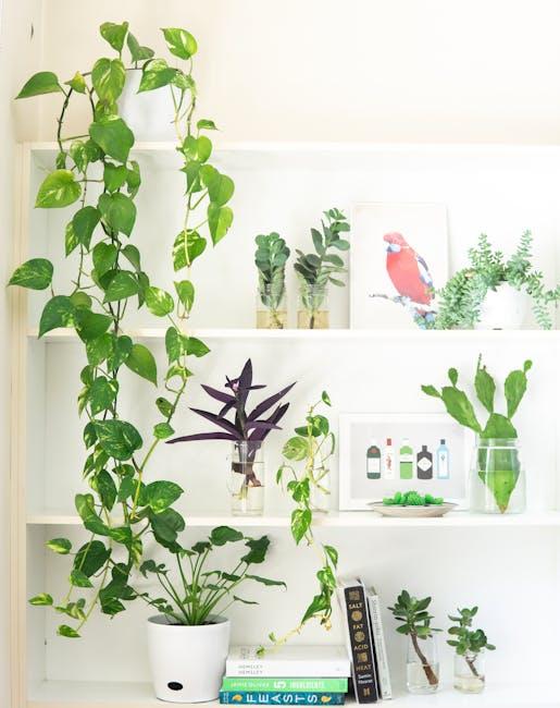 Indoor Plants for Better Air Quality and Well-being